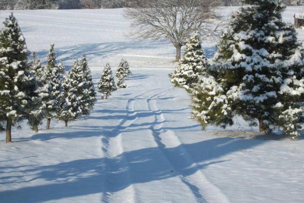Rural Life On A Real Christmas Tree Farm! Hallmark Experience! Ozark Esterno foto