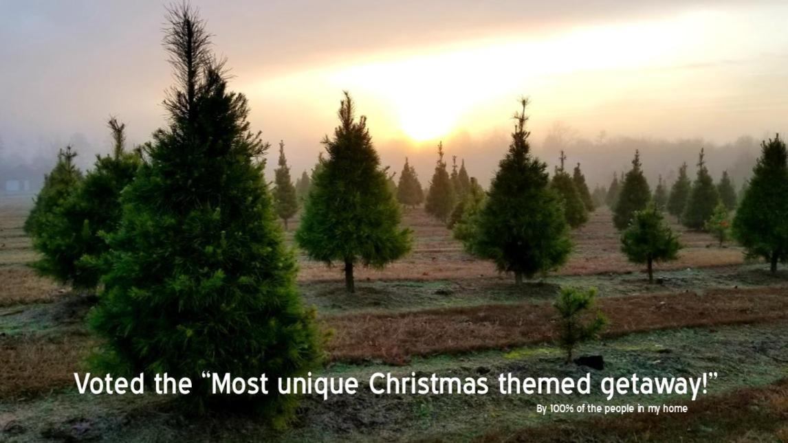 Rural Life On A Real Christmas Tree Farm! Hallmark Experience! Ozark Esterno foto