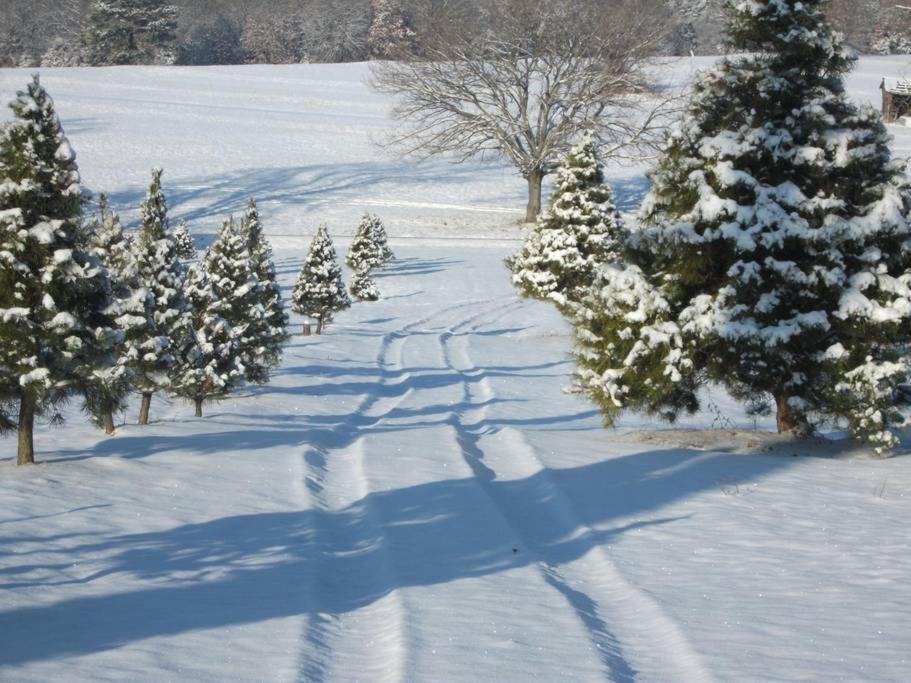 Rural Life On A Real Christmas Tree Farm! Hallmark Experience! Ozark Esterno foto